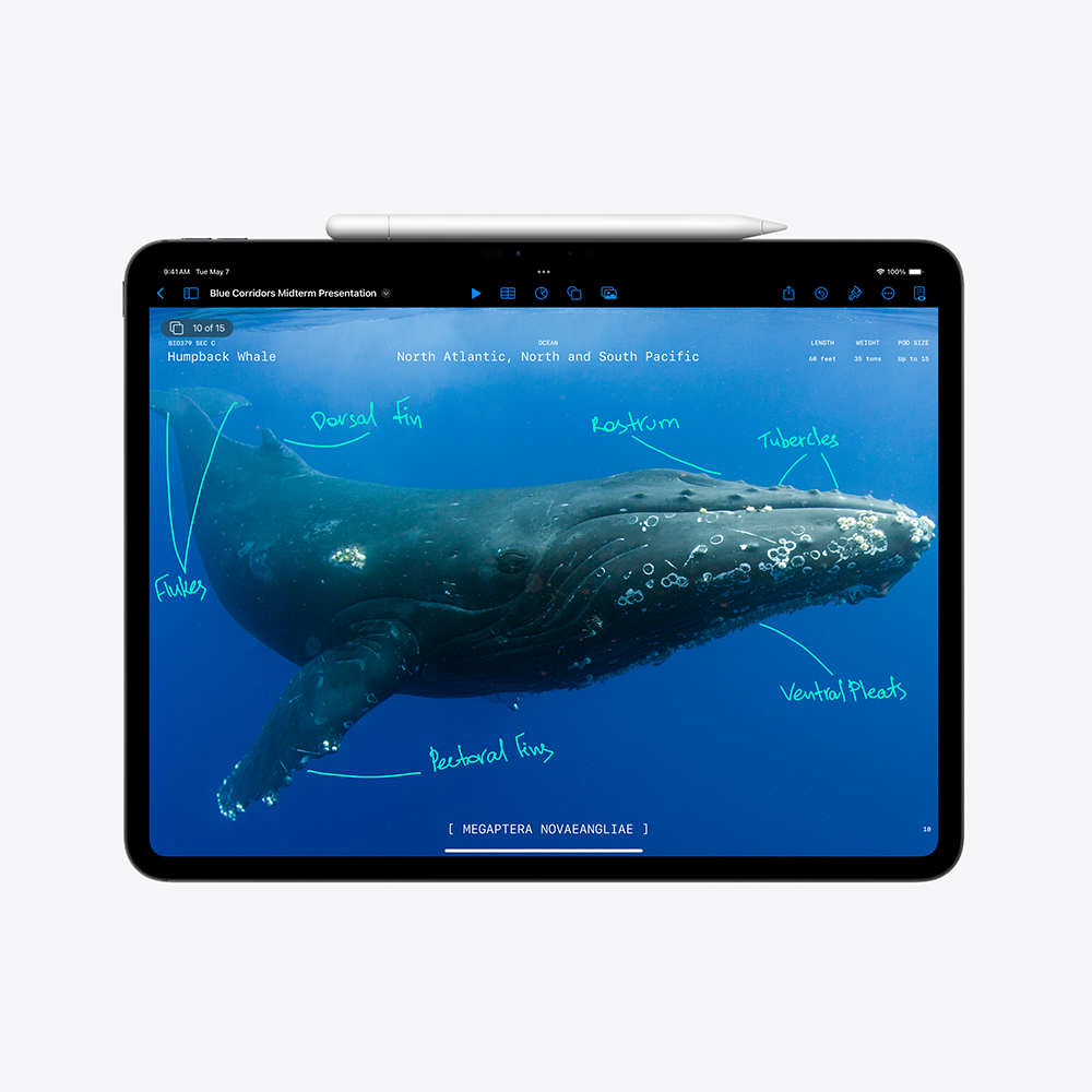 Apple 11-inch iPad Pro (M4) Cellular 256GB with Standard glass - Silver – Obrázok 4